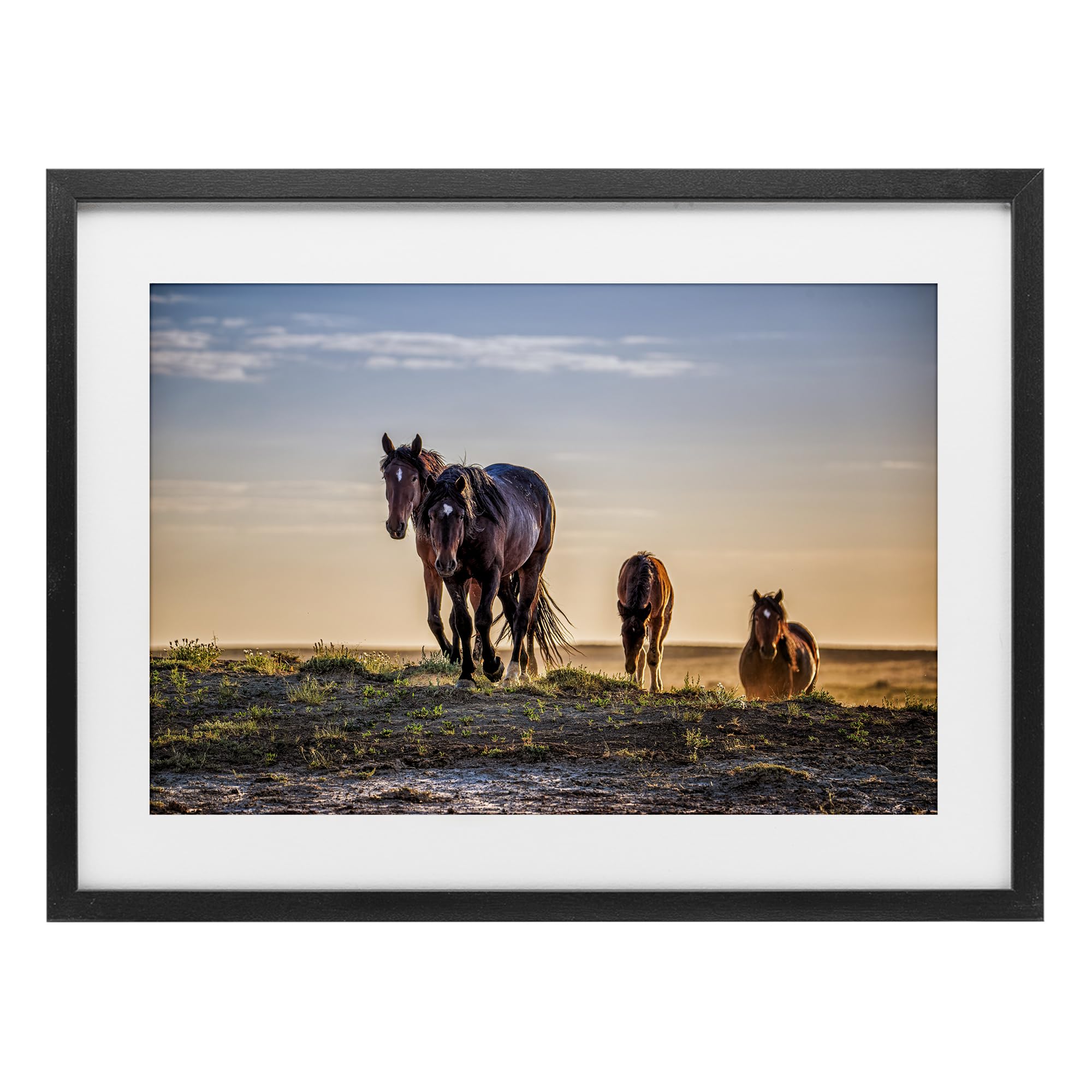 Stupell Industries Midnight Black (Textured) 'Horses Coming Home'| Framed Print Under Glass