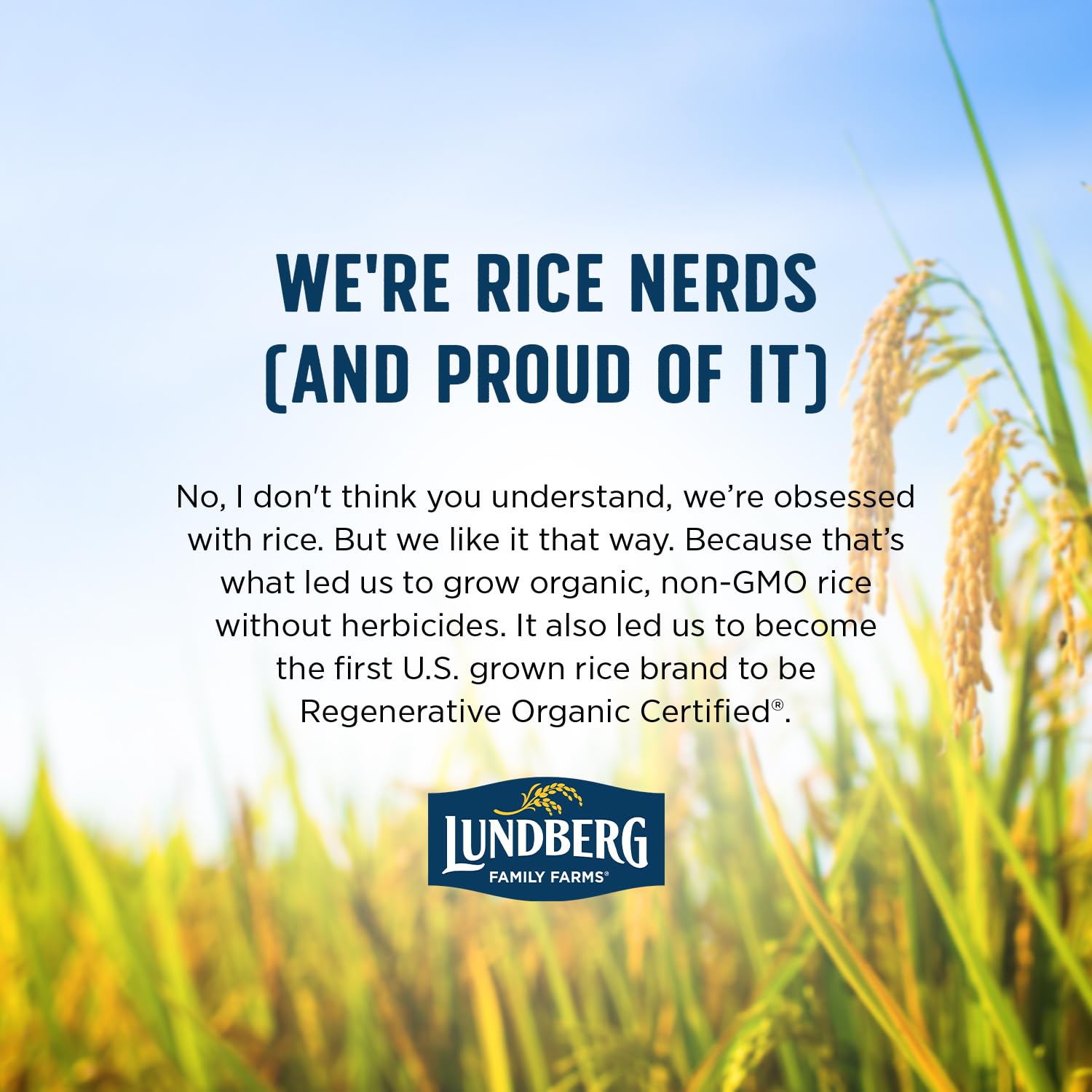 Lundberg Organic Brown Rice Cakes Variety 6-Pack – Regenerative Organic Certified Salt-Free, Lightly Salted, Wild Rice, Tamari with Seaweed, Cinnamon Toast, Honey Nut, Healthy Snacks, 8.5 Oz Ea