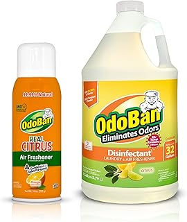 OdoBan Aroma Eliminator Set, 10 Ounce 360-Degree Continuous Spray Natural Oil Real Citrus Air Freshener and 1 Gallon Multipurpose Disinfectant Cleaning Concentrate, Orange Scent