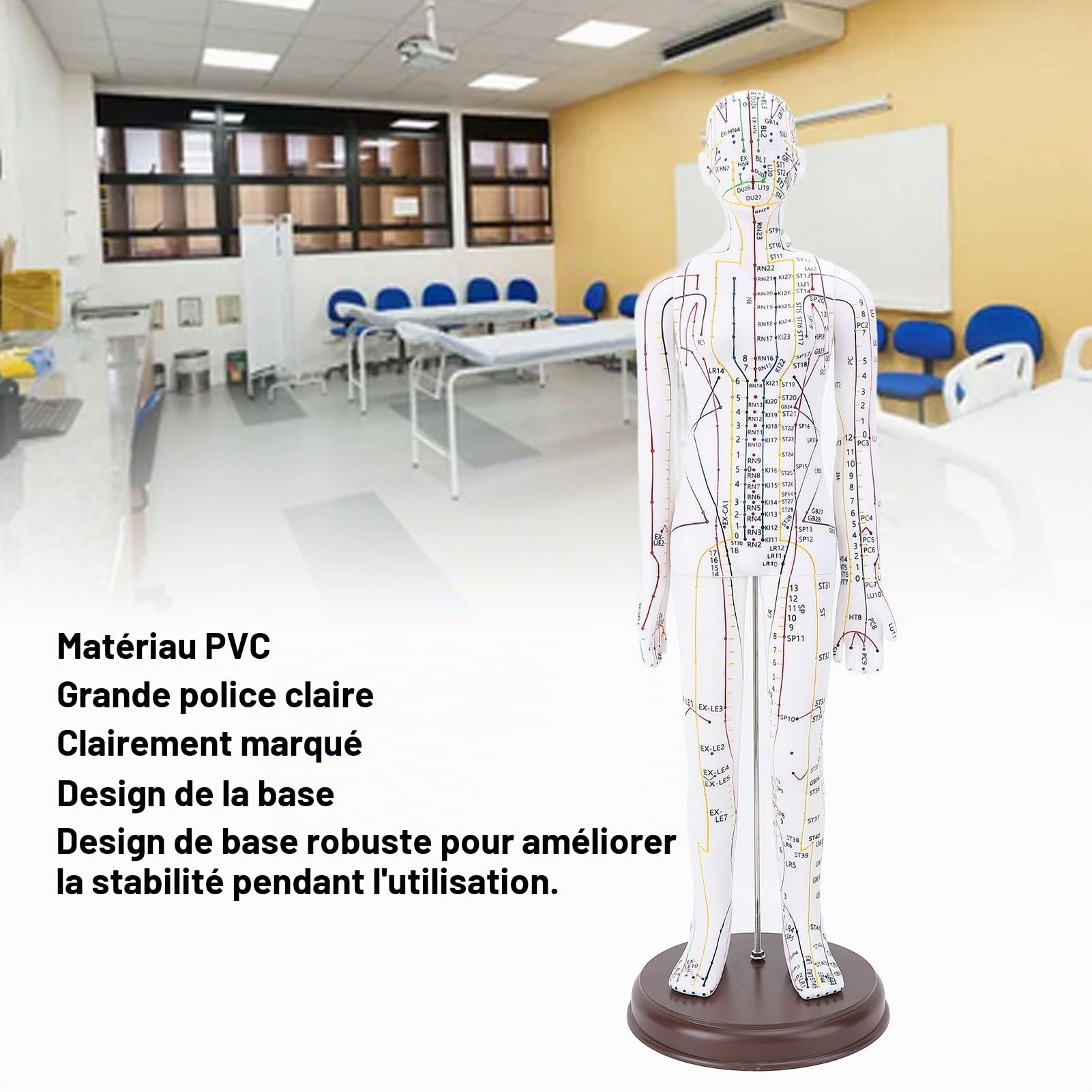 Modèle d'acupuncture, modèle de méridiens féminins de 52 cm, modèle d'acupuncture masculin avec points anglais, sculpture anatomique humaine pour la formation des acupuncteurs,