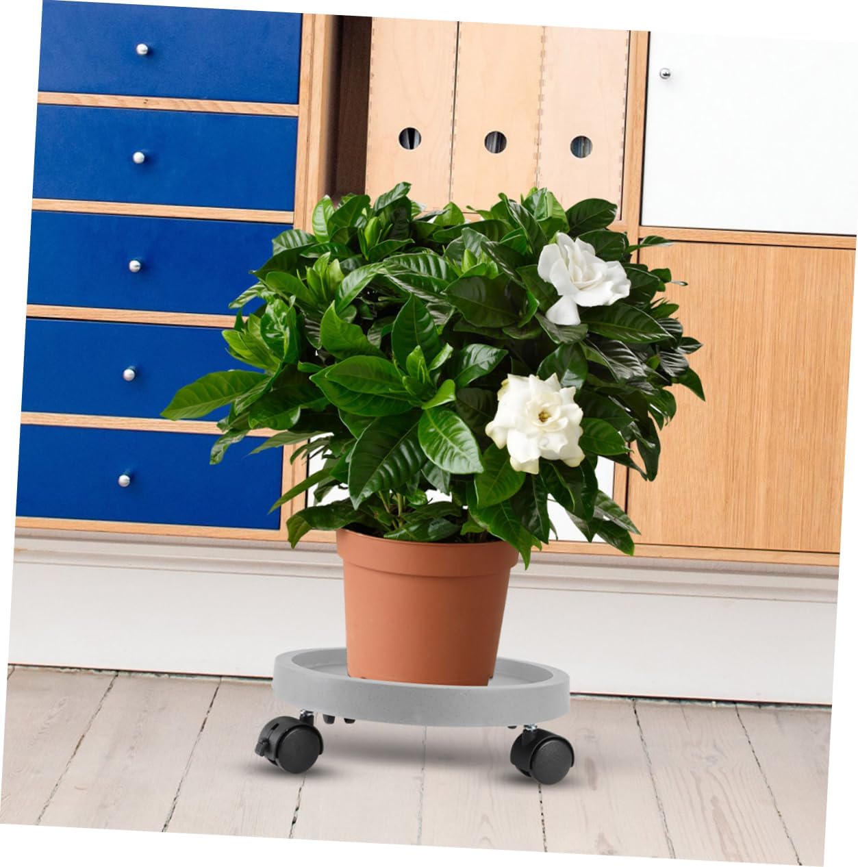 BESPORTBLE Flower Pot Tray with Water Drainage Grey Mobile Plant Holder Base and Stylish Pot Saucer for Use Easy to Clean and Move