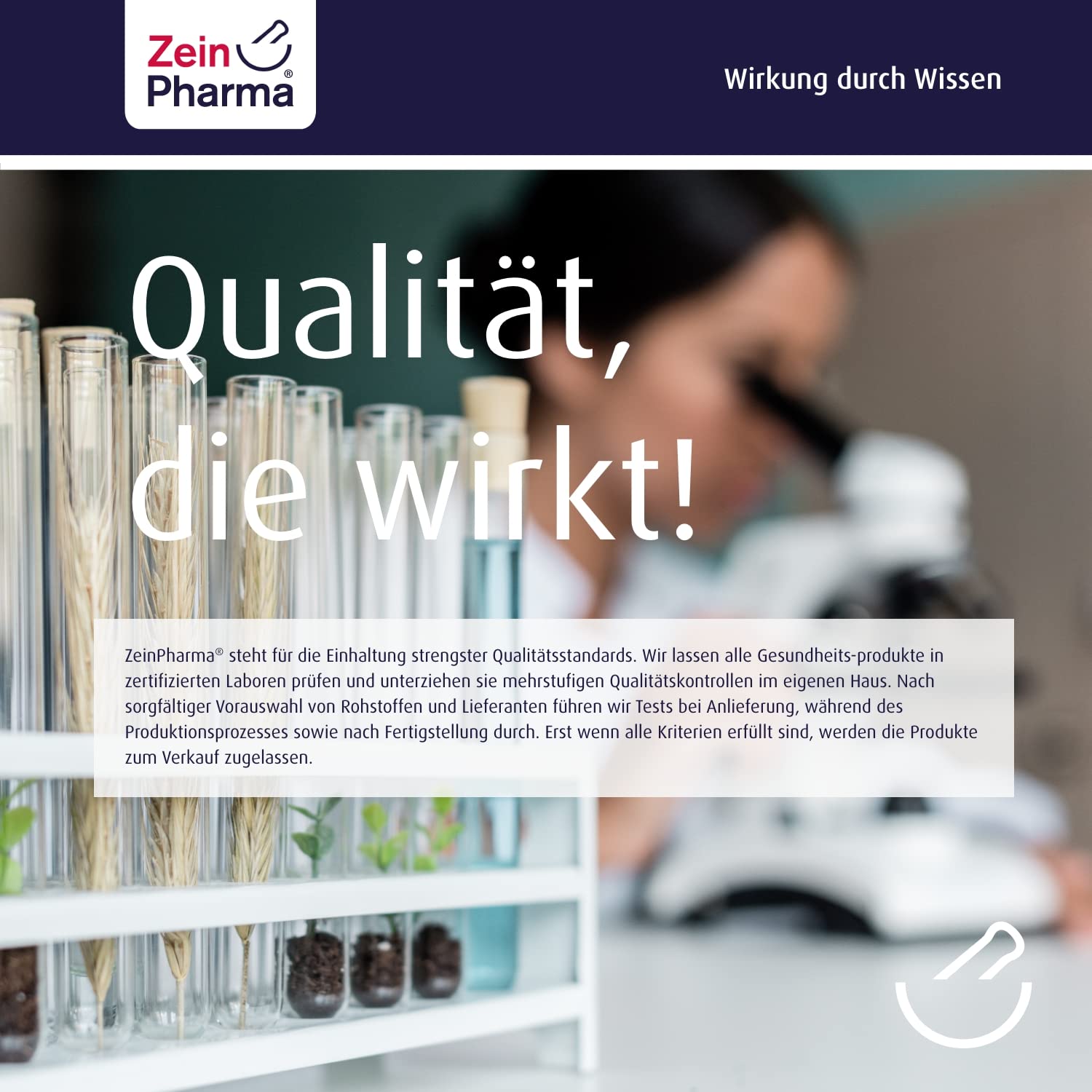 ZeinPharma Alpha-Liponsäure Kapseln 300 mg - 90 vegane Kapseln mit 50% R- und 50% S-Alpha-Liponsäure