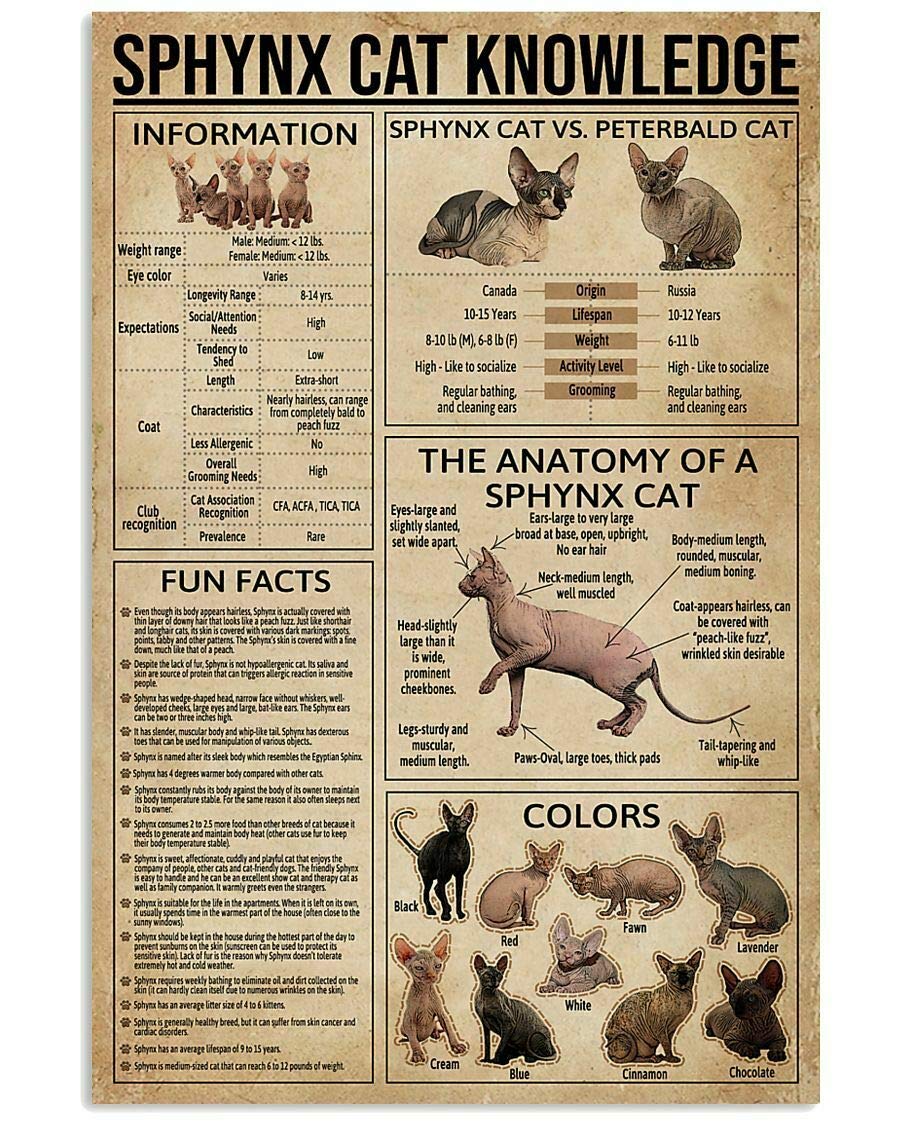 Inga No Haired Sphynx Cat Knowledge Poster For Decor Livingroom Gift For Cat Lover Wall Decoration Metal Sign Poster 8x12 inches