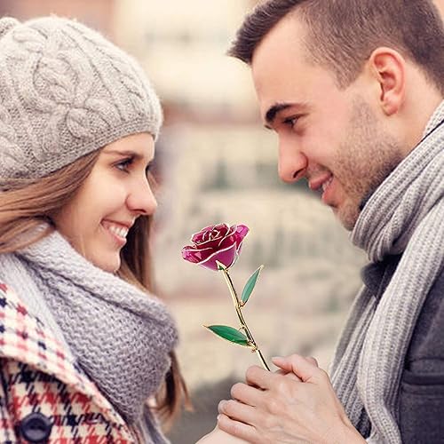 Miniatura 6 de Ejoyous Rosa bañada en oro con soporte, tallo largo preservado para siempre, rosa para ella y esposa, madre, novia en el día de San Valentín,