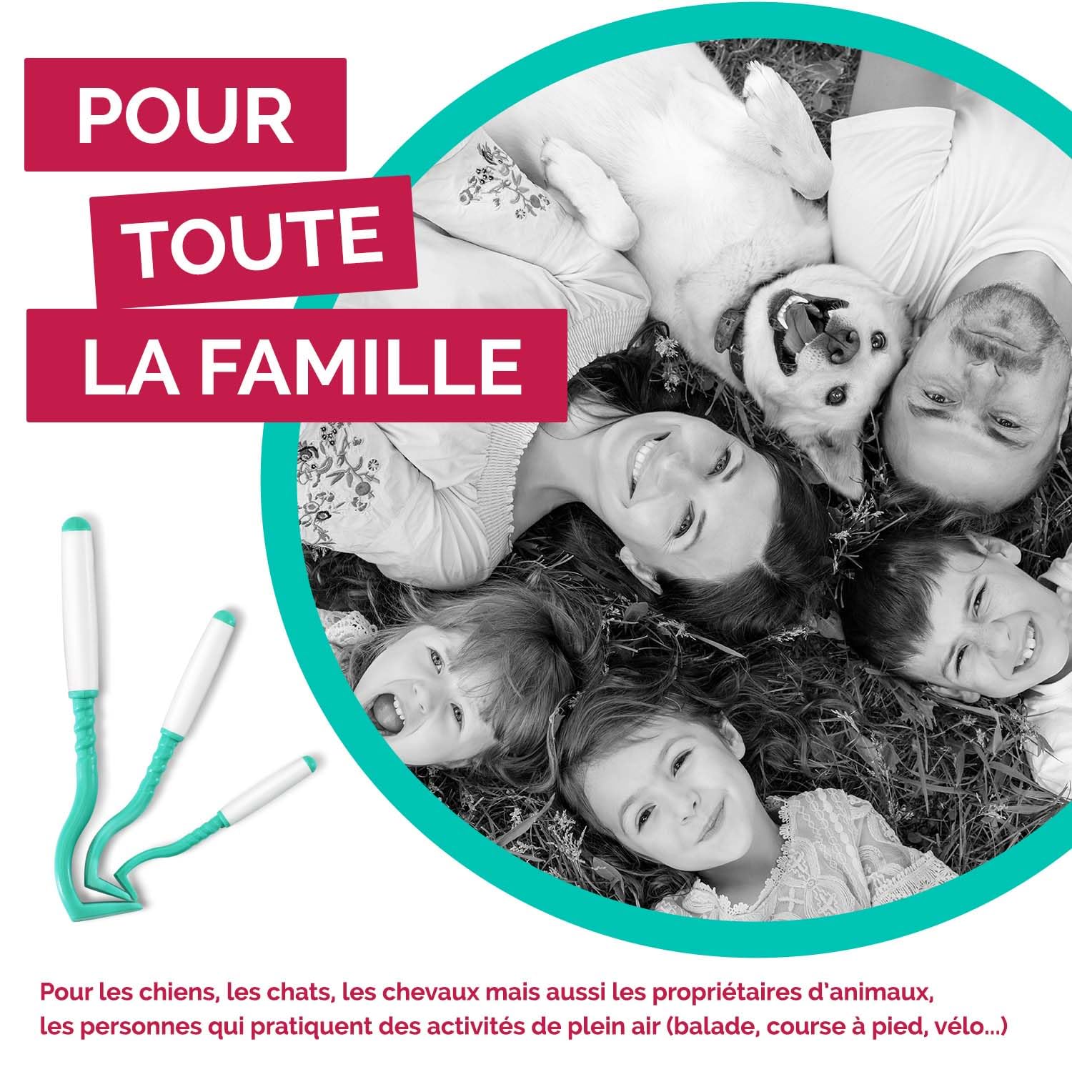 Tire Tique pour Chien, Chat et Humain (Set de 3 Tailles - Vert) - Retrait Facile, Rapide et sans Douleur – Pince à Tique avec Boîte de Rangement - Fabriqué en France (1 Set)