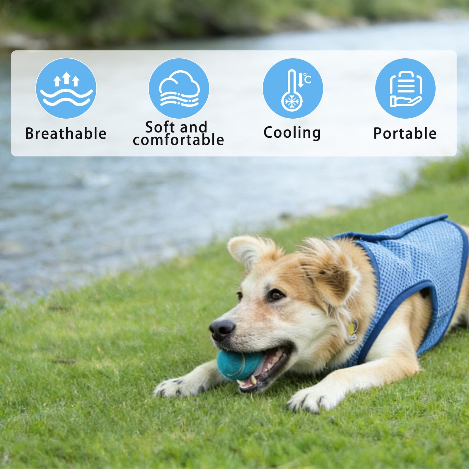 Veste de Refroidissement pour Chien Respirante été, Gilet Rafraichissant Chien, Style sans Manches Frais et Confortable, Manteau Rafraichissant pour Chien, Accessoires Généraux (XL)