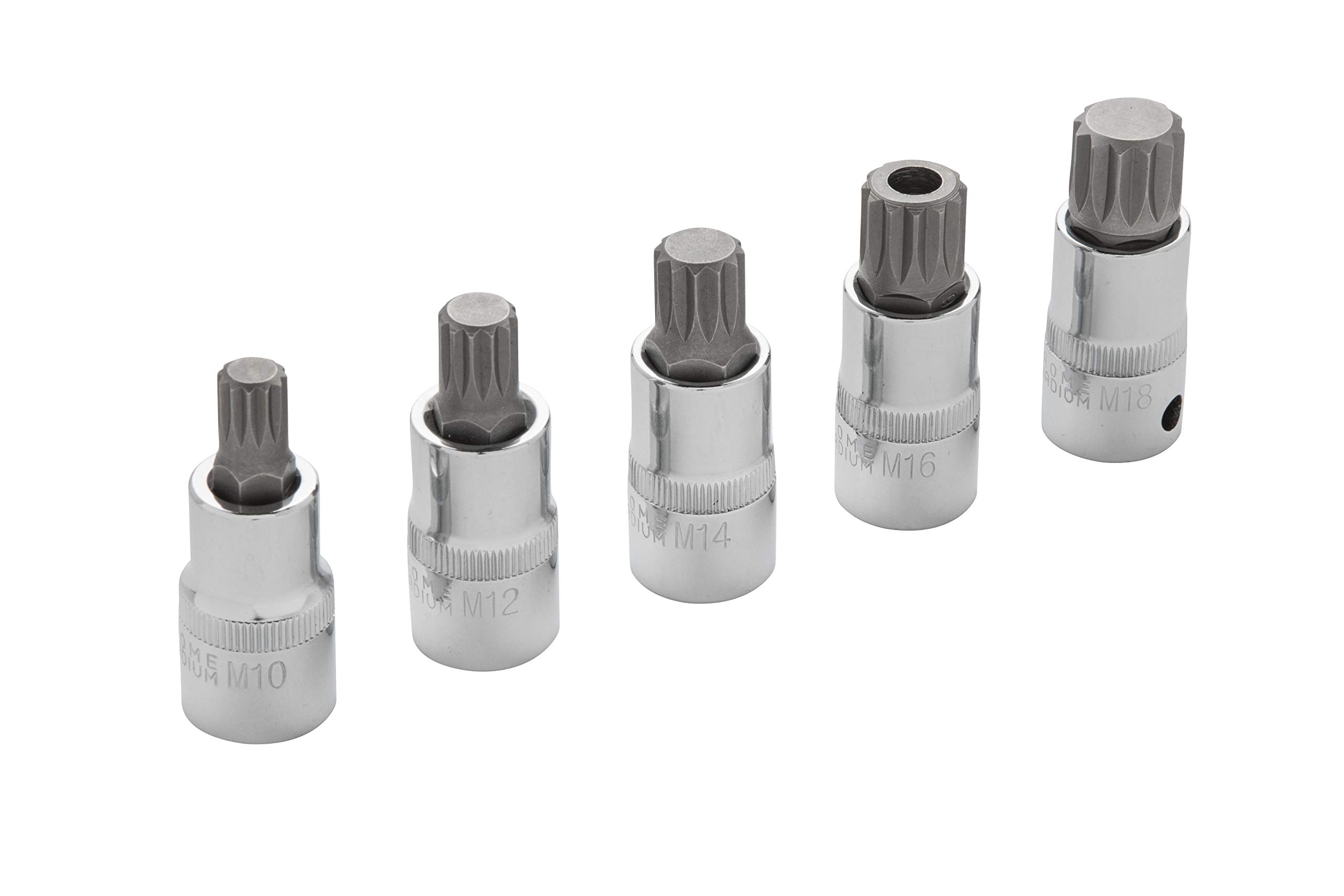 BlueSpot 5PCE 1/2" Spline Bit Set (M10-M18) (EVA Foam) - Image 2