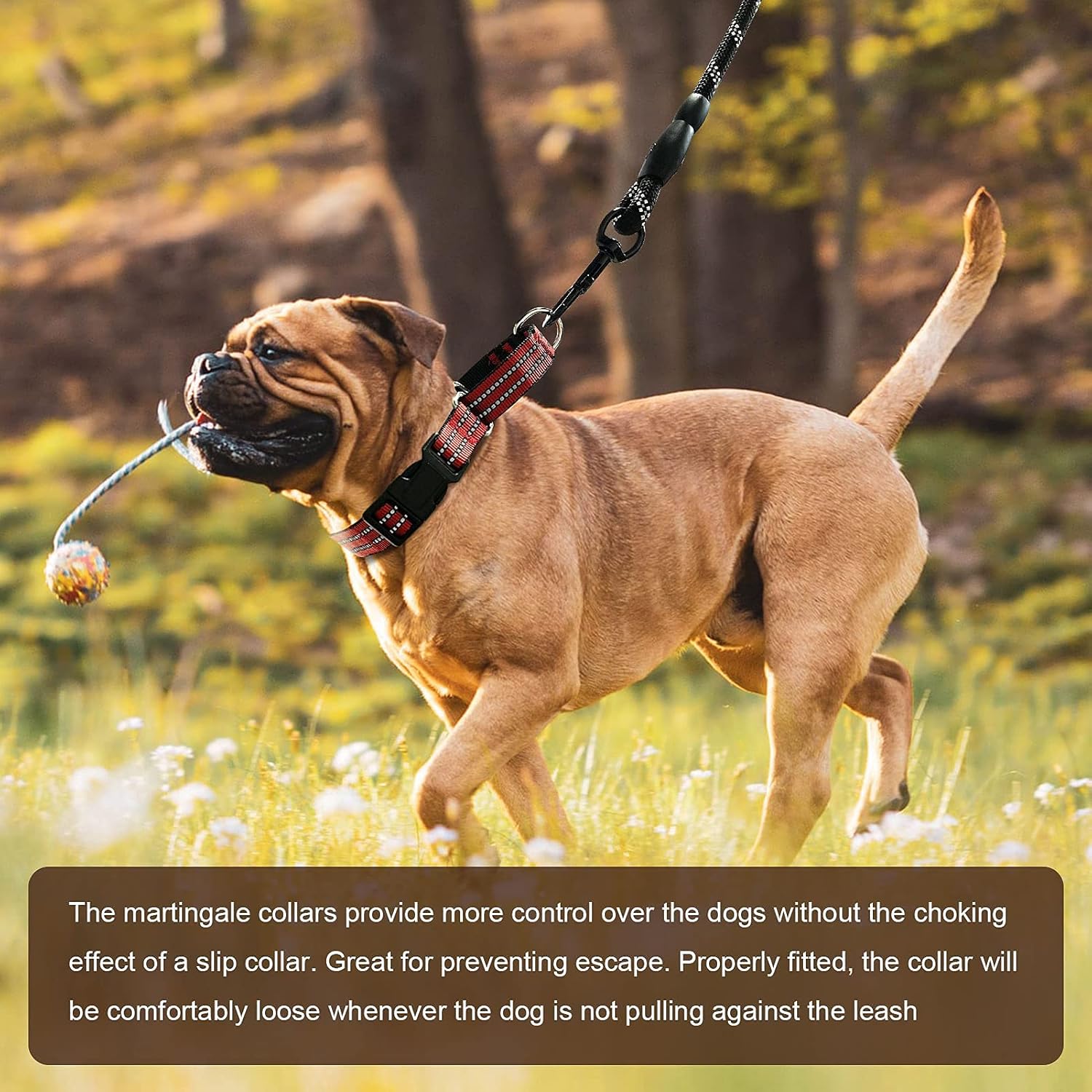 Hikiko Martingale Dog Collars Reflective Nylon Dog Collar with Quick Release Buckle Adjustable Training No Slip Dog Collar (Large, Red)