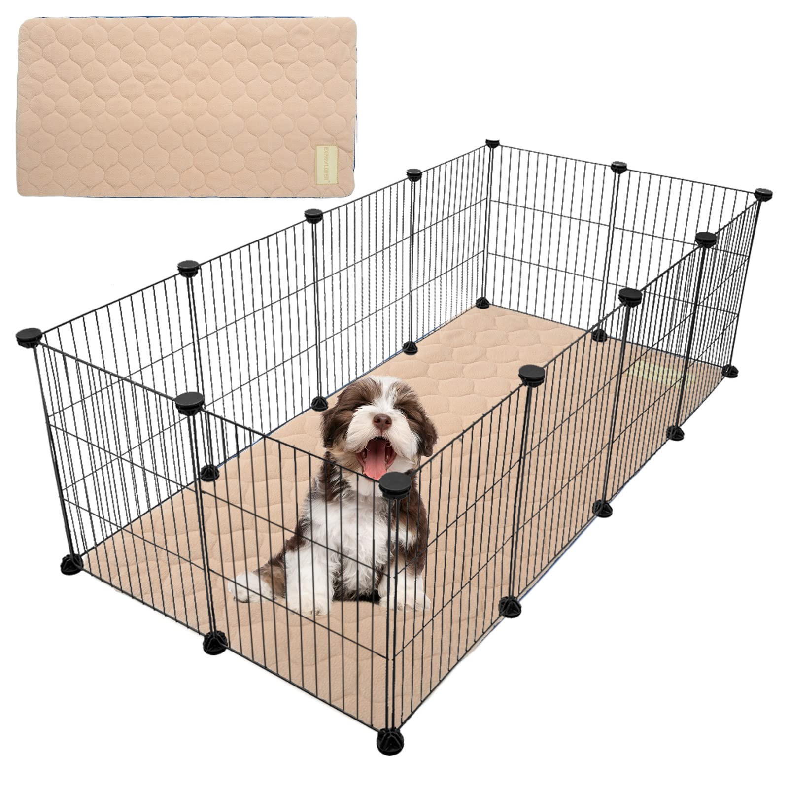 Photo 1 of 2 ITEMS DOG BUNDLE