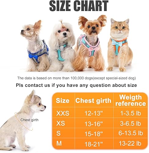 Miniatura 3 de Arnés para perro con correa, arnés transpirable para cachorro, gato, chaleco reflectante ajustable sin tirones con chaleco acolchado suave para