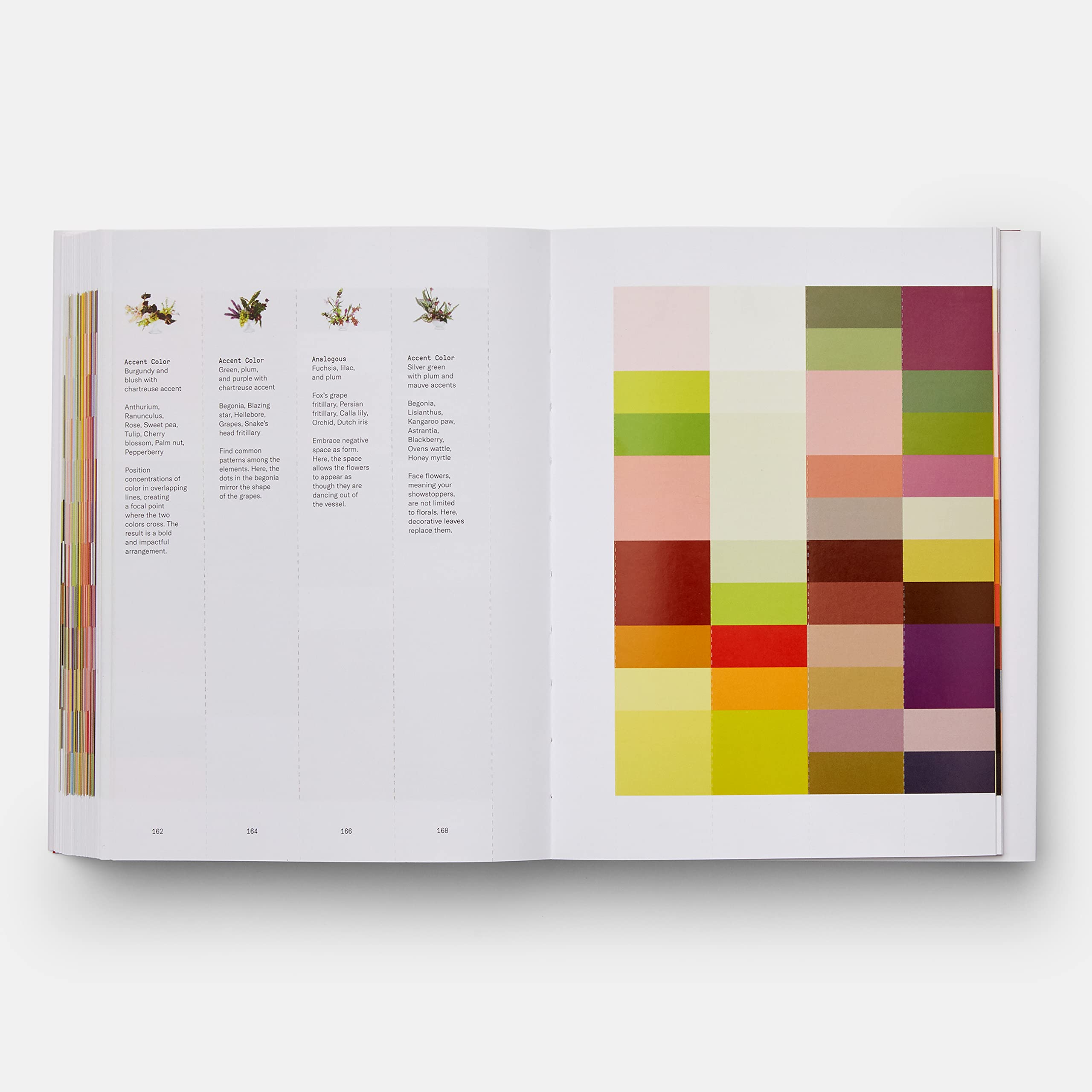 Flower color theory. Ediz. a colori