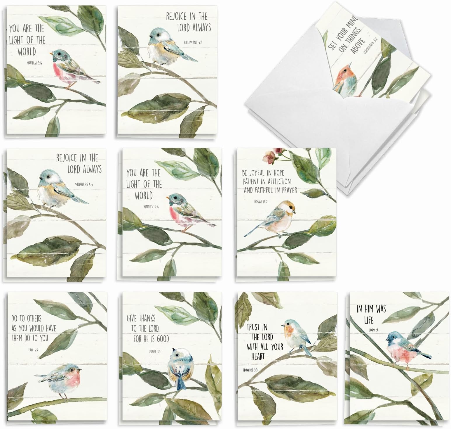The Best Card Company - 20 Blank Notes with Envelopes - All Occasion Animal Assortment (10 Designs, 2 Each) - Scripture Birds AM7108OCB-B2x10-NB