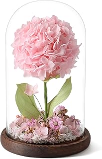 Forever Hydrangeas in Glass Dome,Real Preserved Flowers Gifts Christmas Birthday for Grandma Women Mom Wife/Pink Hydrangea