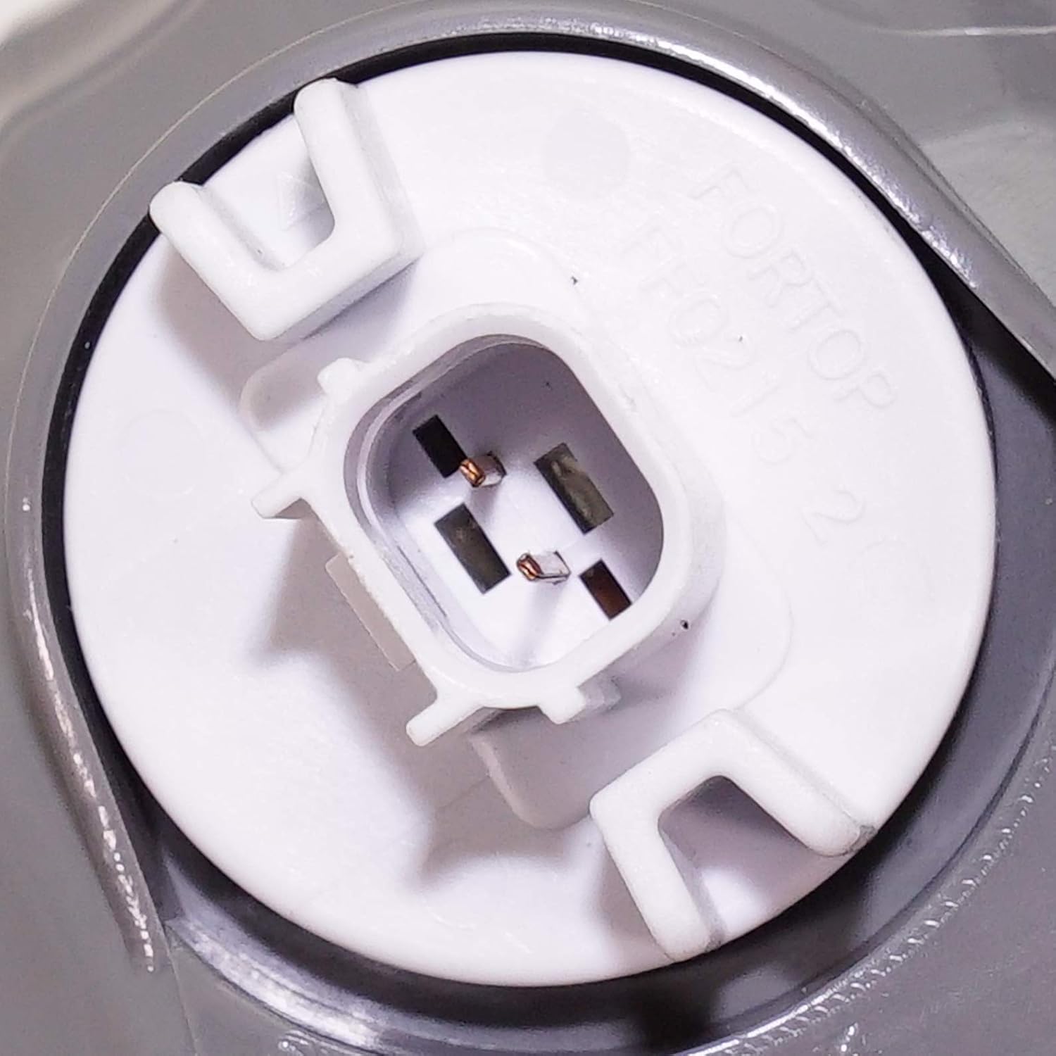 Evan-Fischer Back Up Light Compatible With 2019-2020 Honda Passport Assembly Halogen Driver Side