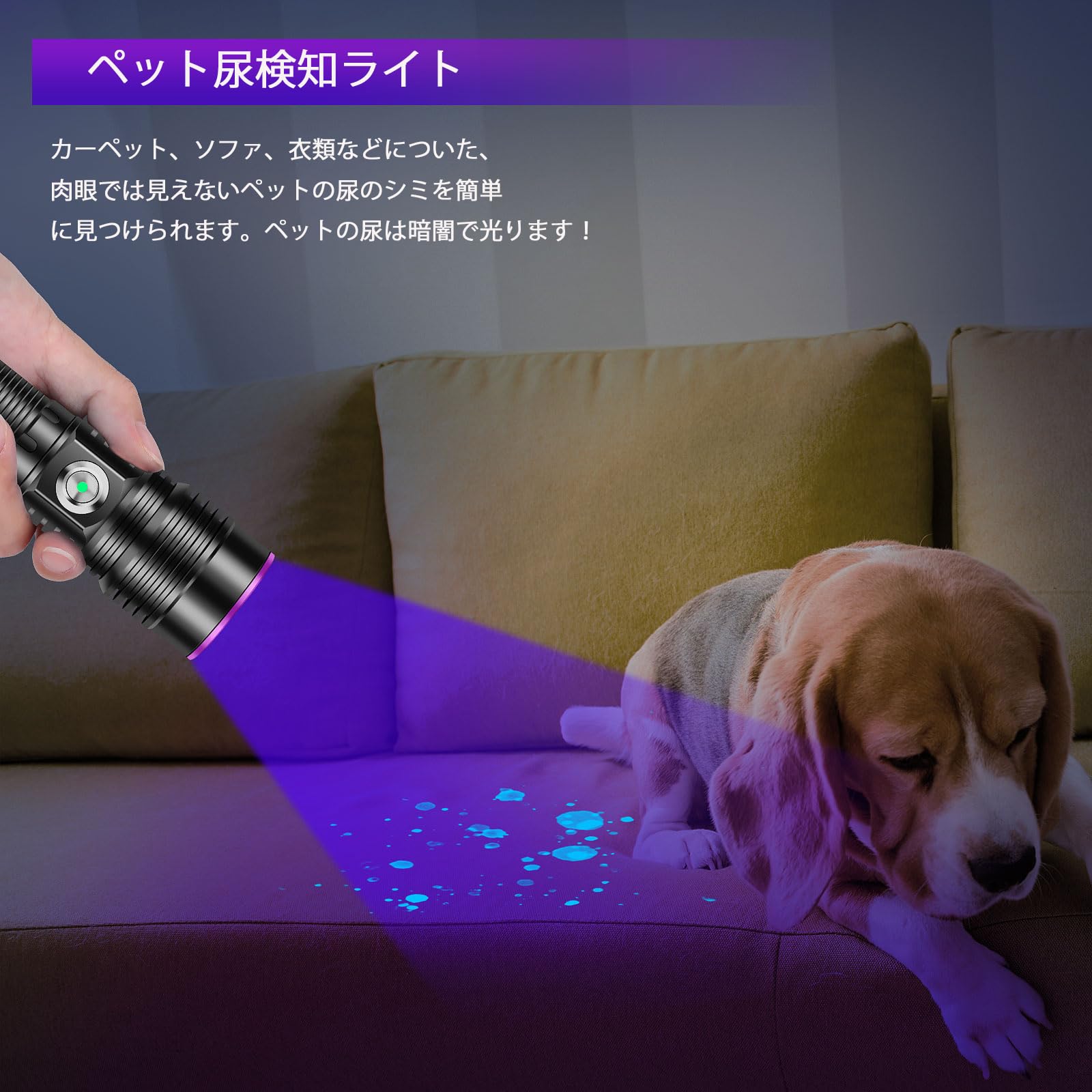 Amazon.co.jp : ブラックライト 365nm 20W 無段階調光 UVライト 充電式 Amazon.co.jp : ブラックライト 365nm 20W 無段階調光 UVライト 充電式