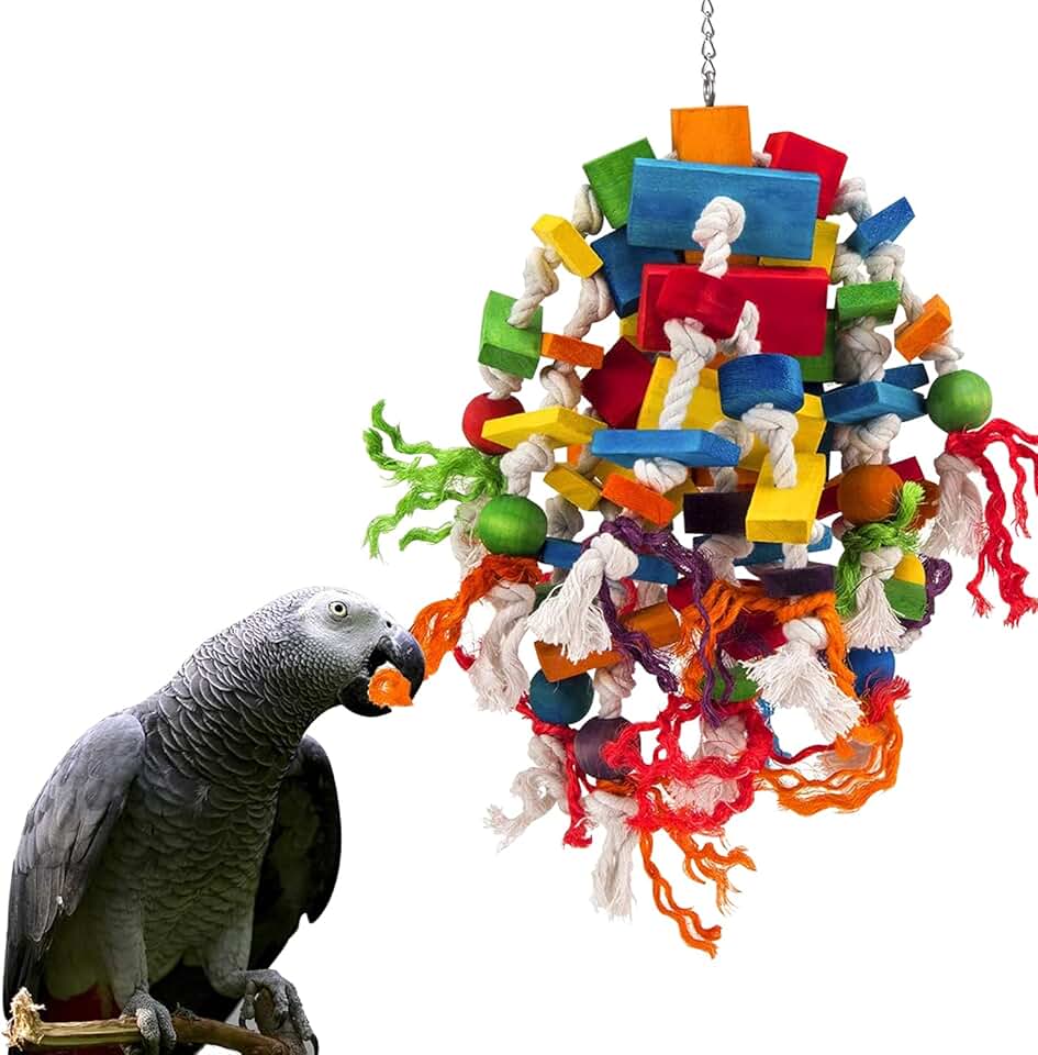 Amazon.co.uk african grey parrot toys