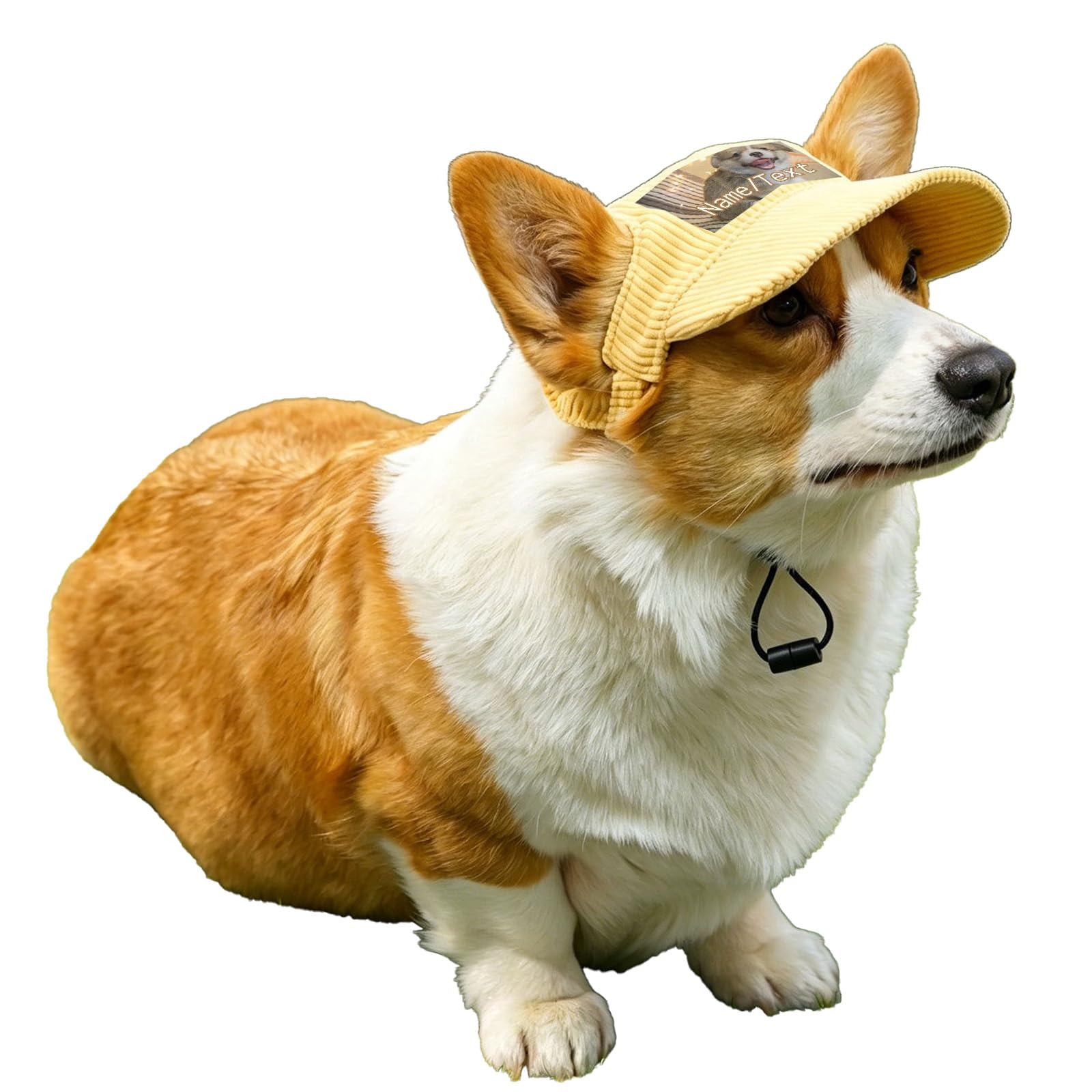Custom Hat for Dog