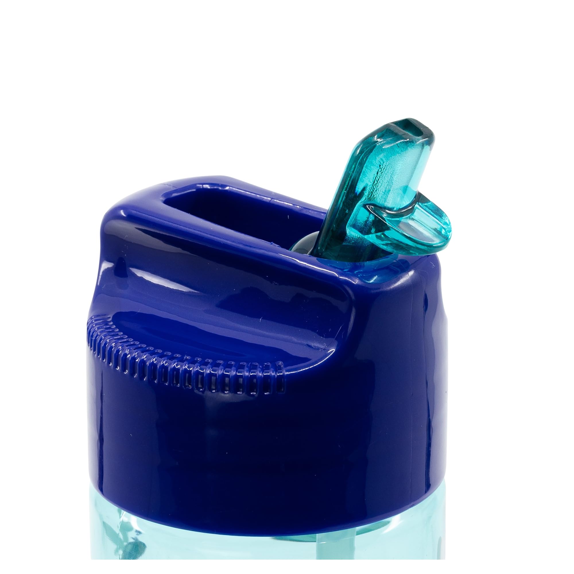 Stor Butelka na wodę dla dzieci wielokrotnego użytku od Bluey 430 ml