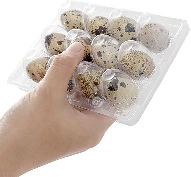 JOIKIT 50 PCS 12 Cavity Clear PVC Quail Egg Cartons, Stackable Egg Storage Box, Plastic Bulk Cartons for Quail Eggs