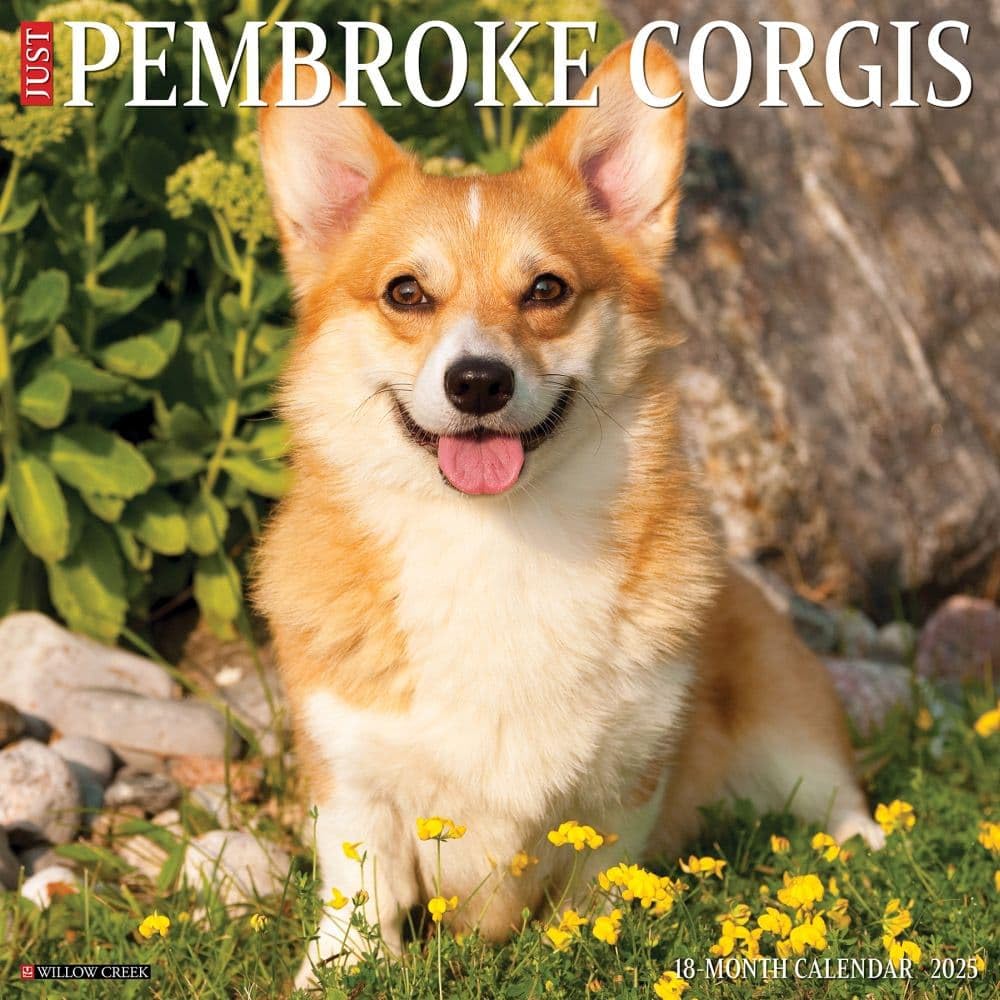 Pembroke Corgis 2025 Wall
