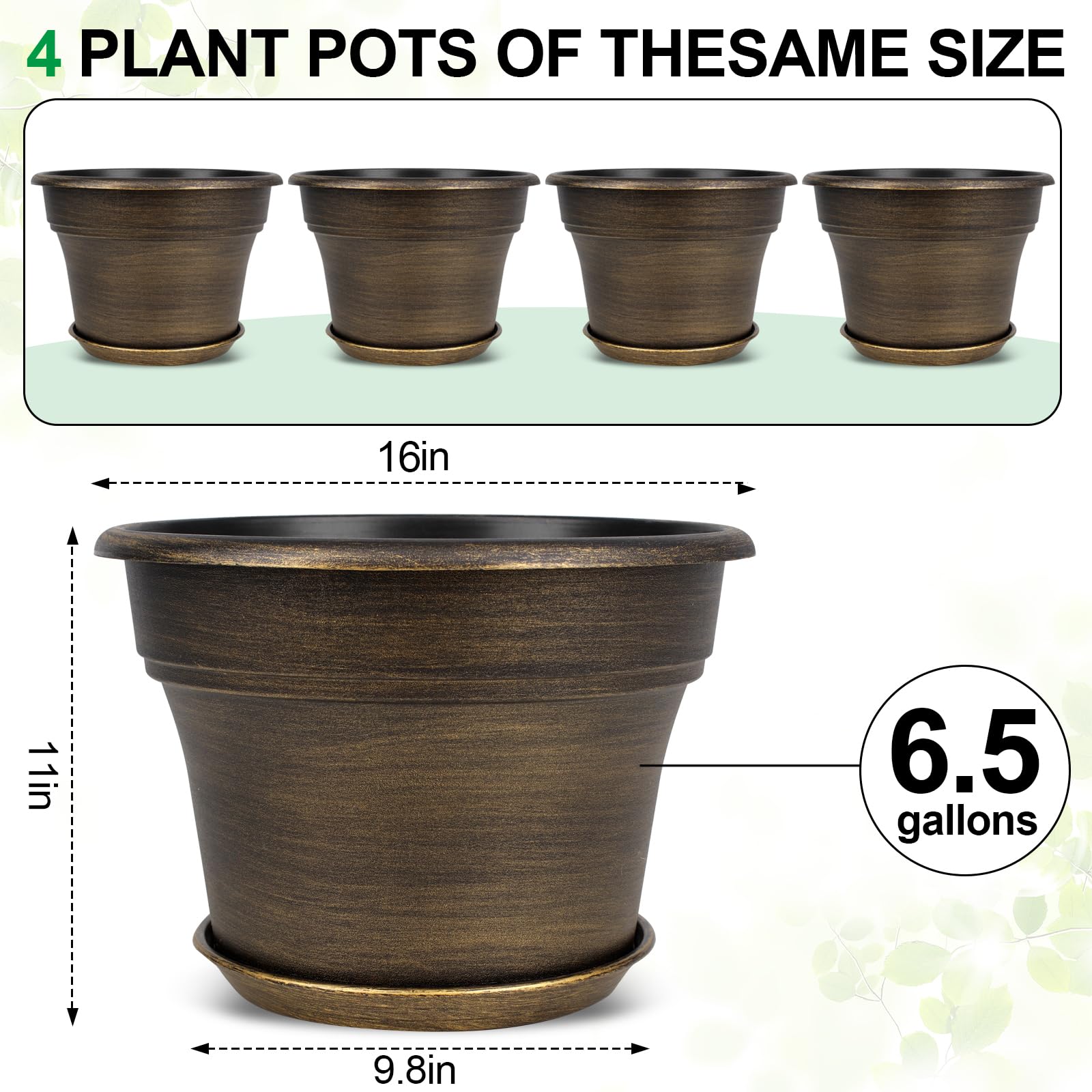 anthurium andreanum black beauty Black Anthurium (Flamingo Flower) Plant For Sale