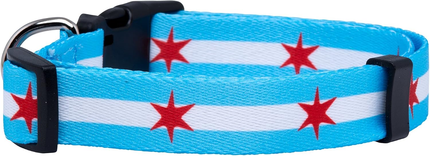Native Pup Chicago Flag Dog Collar (Chicago Big Stars, Small) image 2