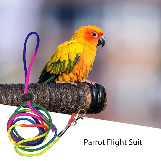 Foto 3 de 8 de Pañal para pájaros, pañales Suaves para pájaros, Pantalones de para pájaros pequeños y medianos, periquitos