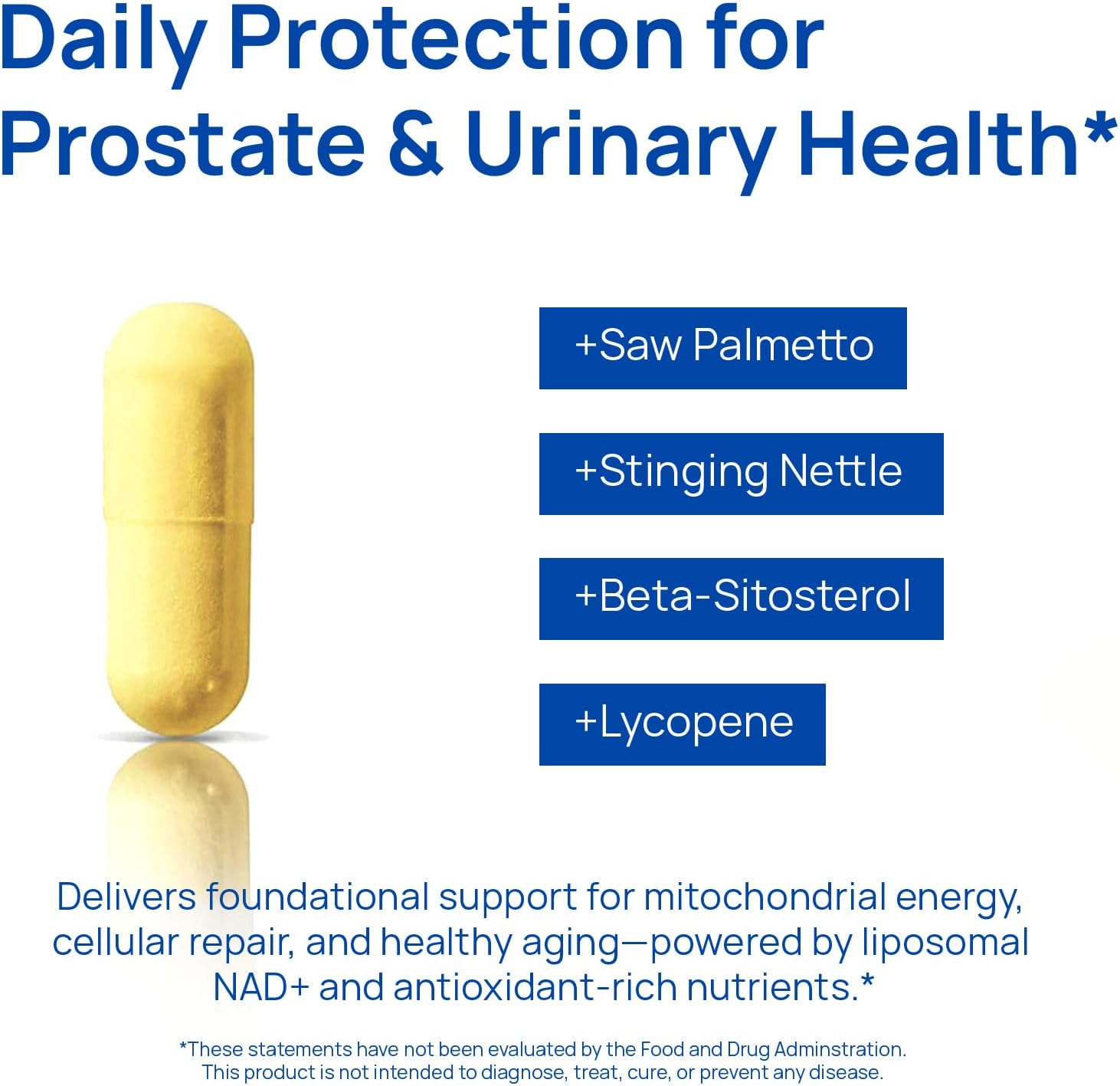 Selerb NAD+ Supplements for Men – Nitric Oxide Prostate Health Supplements for Men with Resveratrol, CoQ10, L Citrulline and Lycopene for Anti-Aging, Stamina & Cellular Energy Support 60 Capsules - Image 5