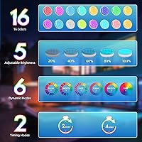Vista 5 de Luces de piscina, luces LED sumergibles con control remoto, IP68 impermeable 16 colores recargables, iluminación subacuática con imán integrado