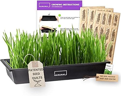 HAMAMA Microgreens - Kit de cultivo de hierba de trigo, tapete para brotes de interior, colchas de semillas de fácil instalación, paquete de 3,
