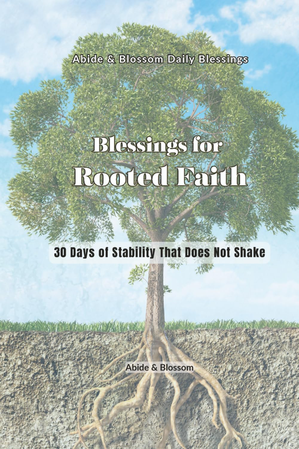 Blessings for Rooted Faith: 30 Days of Stability That Does Not Shake (Abide & Blossom Daily Blessings)