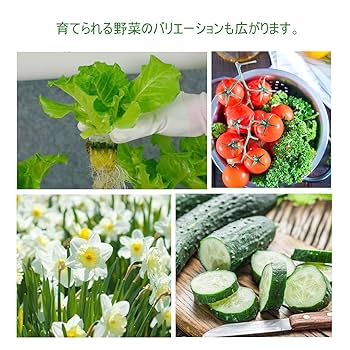 Amazon.co.jp: EC Grow 水耕栽培 水耕栽培キット 土を使わず