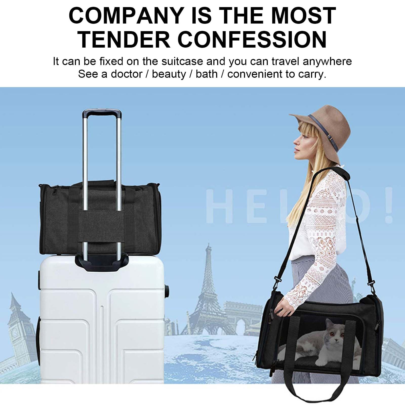 Bolso Transportín Gatos y Perros, Bolsa de Transporte Plegable Transporte para Mascotas, Portador de Viaje con Correa de Hombro para Gatos Pequeños, Medianos, Perros y Conejos (Negro)