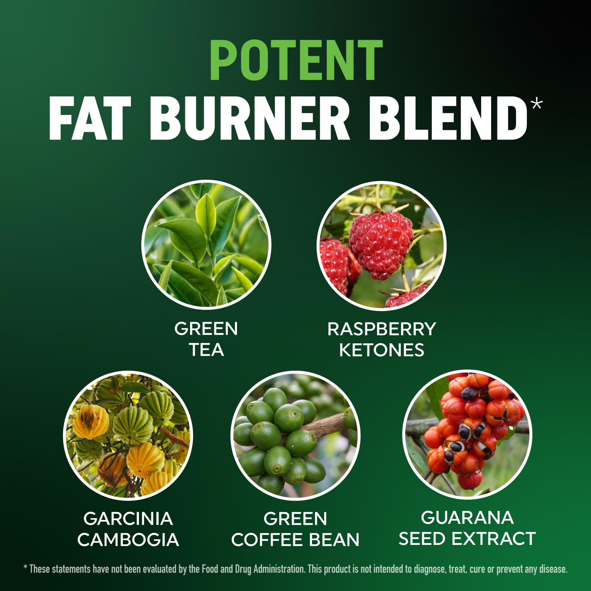 Men’s Fat Burner Gummies for Weight Loss with Green Tea & Green Coffee Bean — Amazon image 3