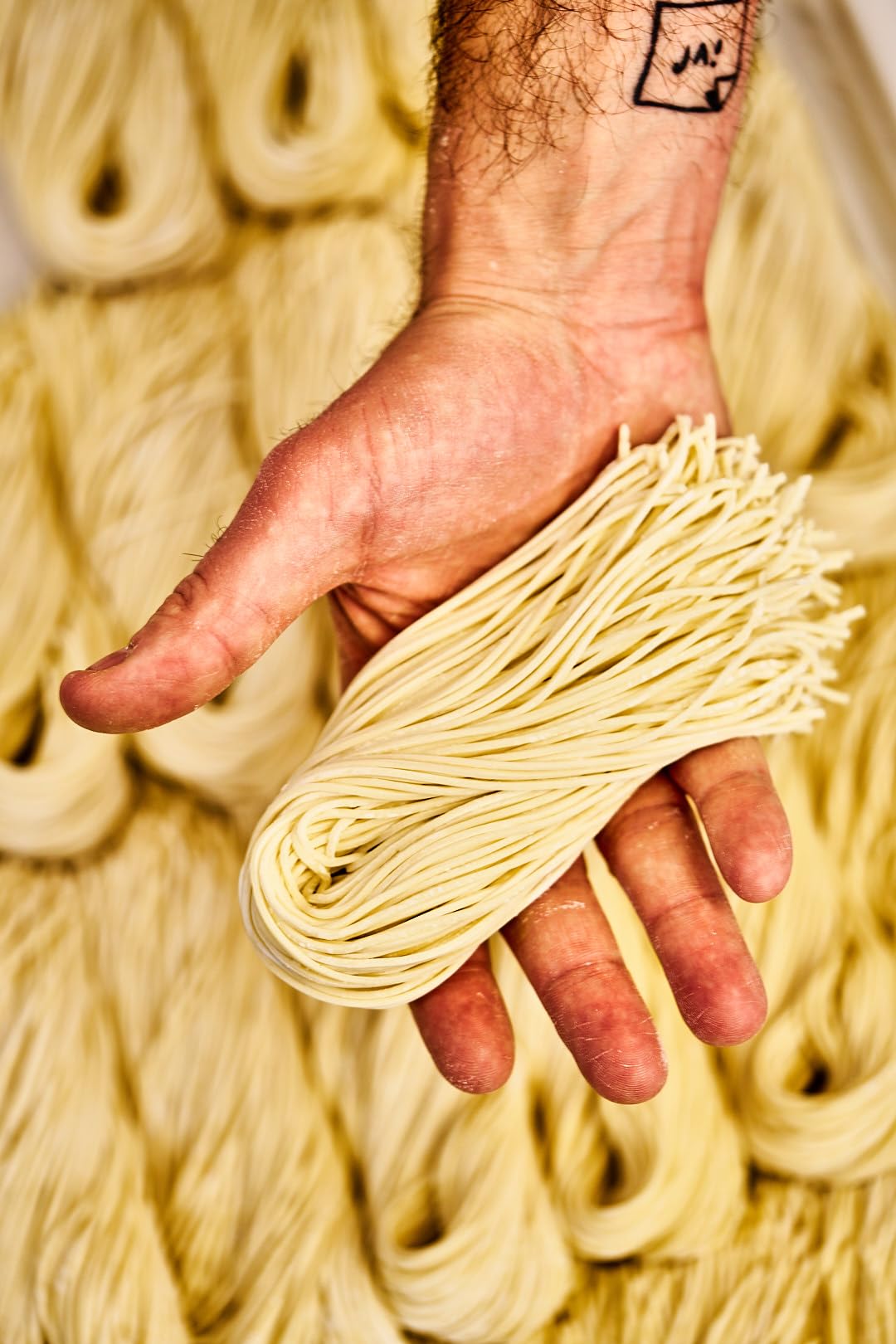 Ramenfaktur Ramen Nudeln Straight - Frische japanische Weizennudeln, handgemacht in Bayern, vegan, für authentische Ramen-Suppen, 12 x 260g Beutel