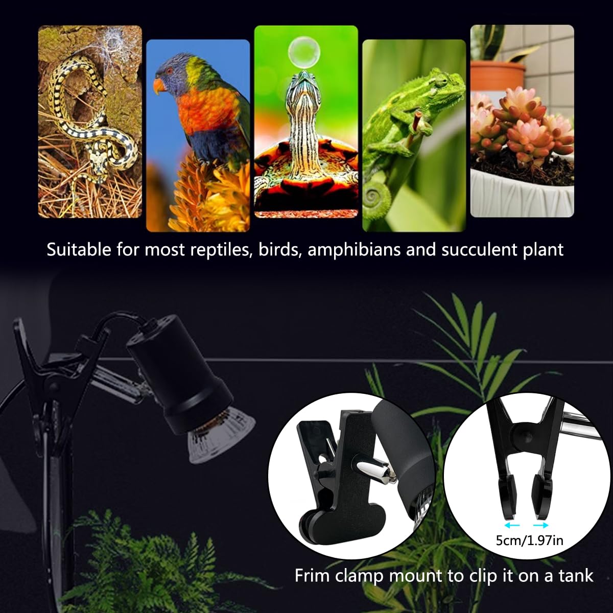 DOMICA Turtle Heat Lamp + 2 Heating Bulbs (50W,35W), Reptile UVA UVB Basking Spot Lamp, Warming Light with Clamp for Tortoise, Lizard, Snake, Leopard Gecko, Beared Dragon, Brooder Box - image 3