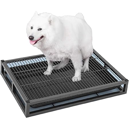 Amazon Co Jp 犬のトイレ お掃除ラク 愛犬のインテリアトイレ トイレシート犬用 レギュラー ペットトレー ドッグトレー専用 ふち漏れ防止 ワイドサイズ いたずら防止 強力な耐荷重性 M Xl Size 54x37x8cm ペット用品