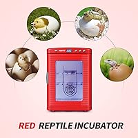 Vista 6 de RYFT Incubadoras para incubar huevos, incubadora portátil de laboratorio científico de reptiles de 25 L con calefacción y enfriamiento de 41.0 Rojo