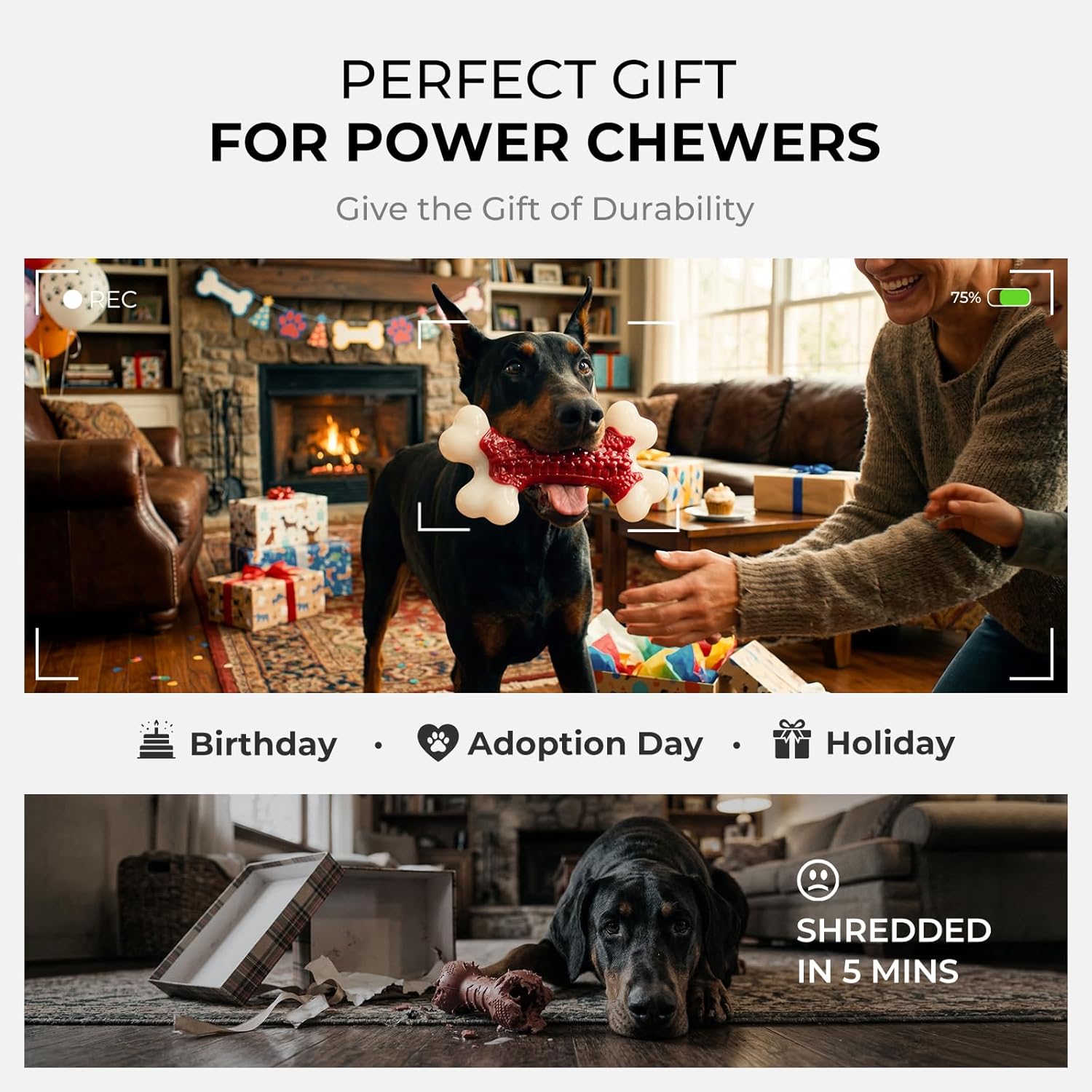 Indestructible Dog Toys for Aggressive Chewers: Beef Flavored Hard Nylon Bone Chew Toys, Tough Dog Chew Toys for Large Dogs, Dog Toys to Keep Them Busy for Medium Large Breed (20-80 lbs), Red