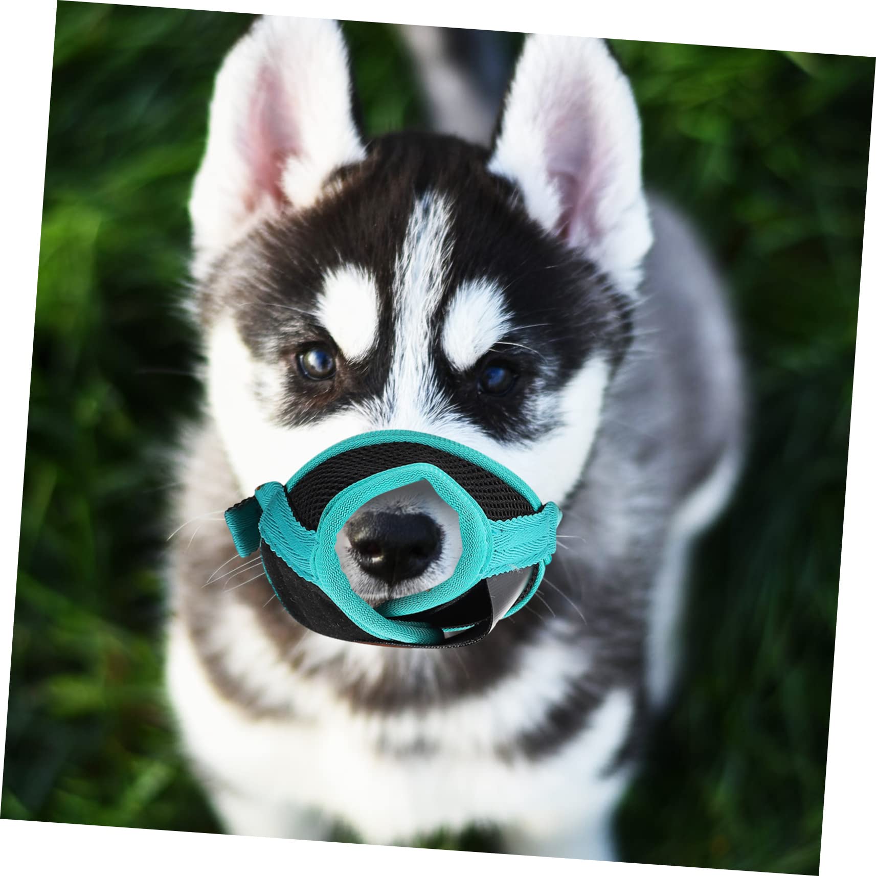 LIOOBO Cotton Dog Muzzle Small Dog Muzzles Prevent Eating Chewing Drinking Hole