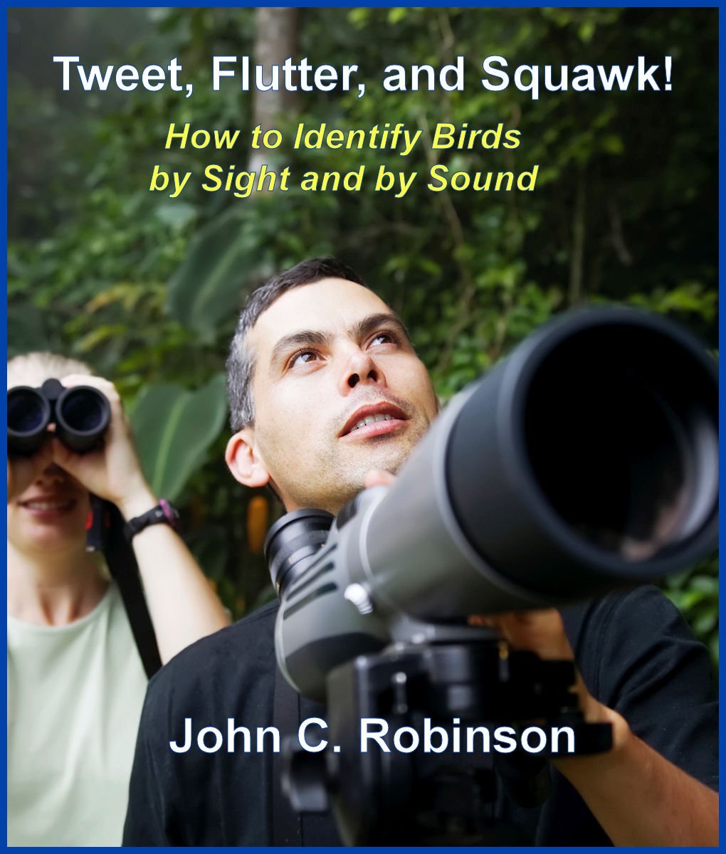 Amazon.com: Tweet, Flutter, and Squawk!: How to Identify Birds by Sight ...