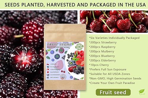 Miniatura 7 de Mix Fruit Seeds - Más de 1100 semillas de bayas para plantar fresa, frambuesa, morera, arándano, saúco, cereza, 6 variedades empaquetadas