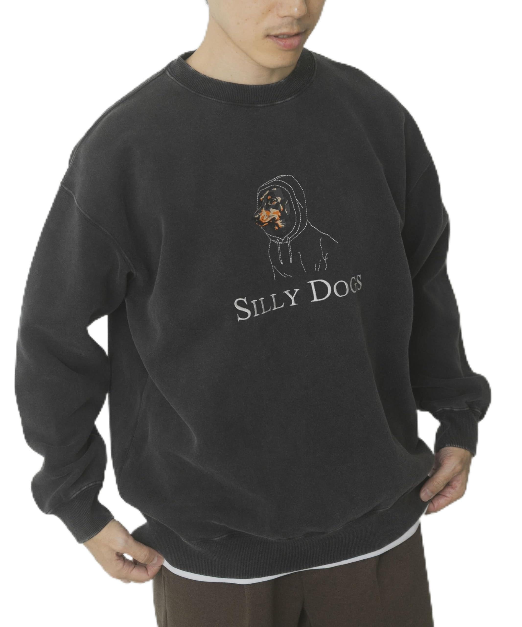 ITEMS\URBAN RESEARCH(アーバンリサーチ アイテムズ) スウェット パウダー加工 裏起毛スウェットプルオーバー メンズ ITA7-11A007