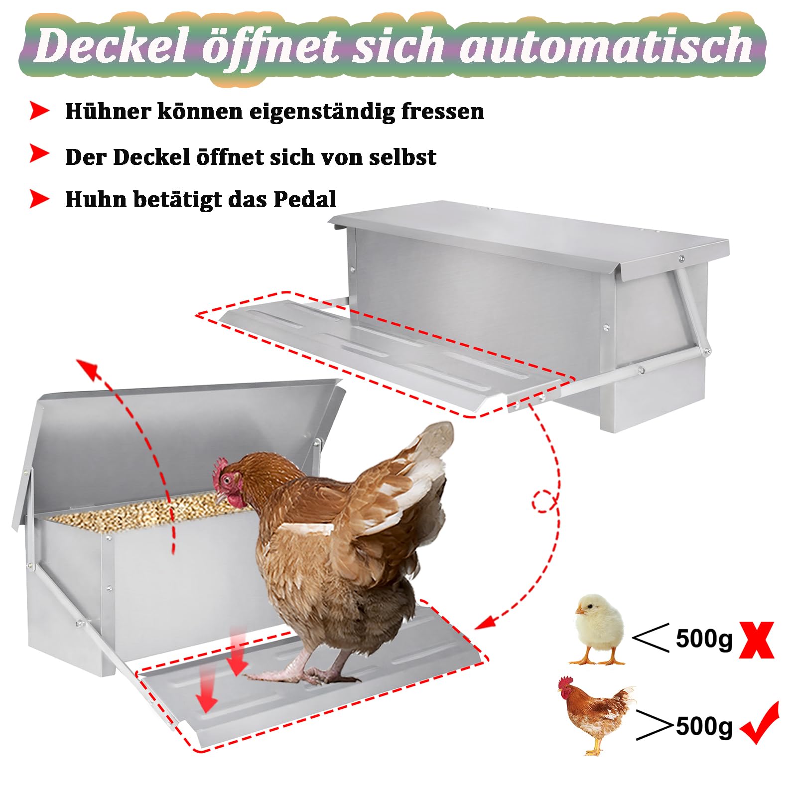Aufun Comedero automático 10 kg de acero galvanizado | Comedero para gallinas, con patas automáticas y tapa resistente al agua, comedero para aves de corral, pollos, patos, gansos