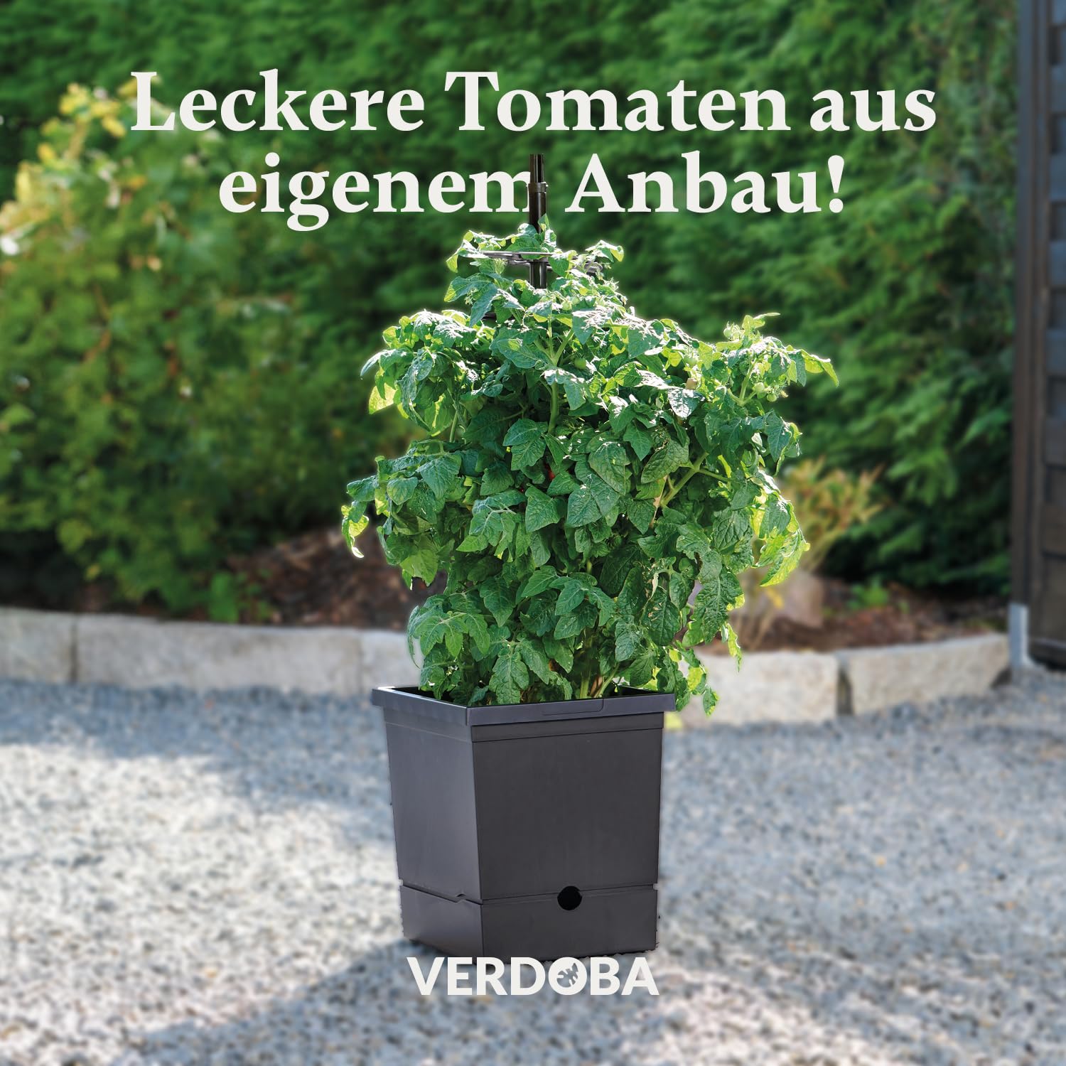 VERDOBA Tomatentopf mit Rankhilfe - Tomatentopf mit 3,5L Wasserspeicher zur Selbstbewässerung - in Deutschland produzierter Tomatenturm aus recycelten Material - Pflanzkübel für Tomaten Anzucht