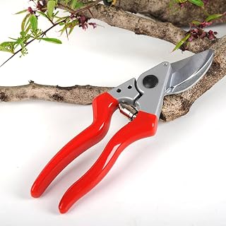 New Pruning Shears Gardening Pruning Shears Garden Scissors Hand Scissors Coarse Straightener Garden Pruning Tools/616