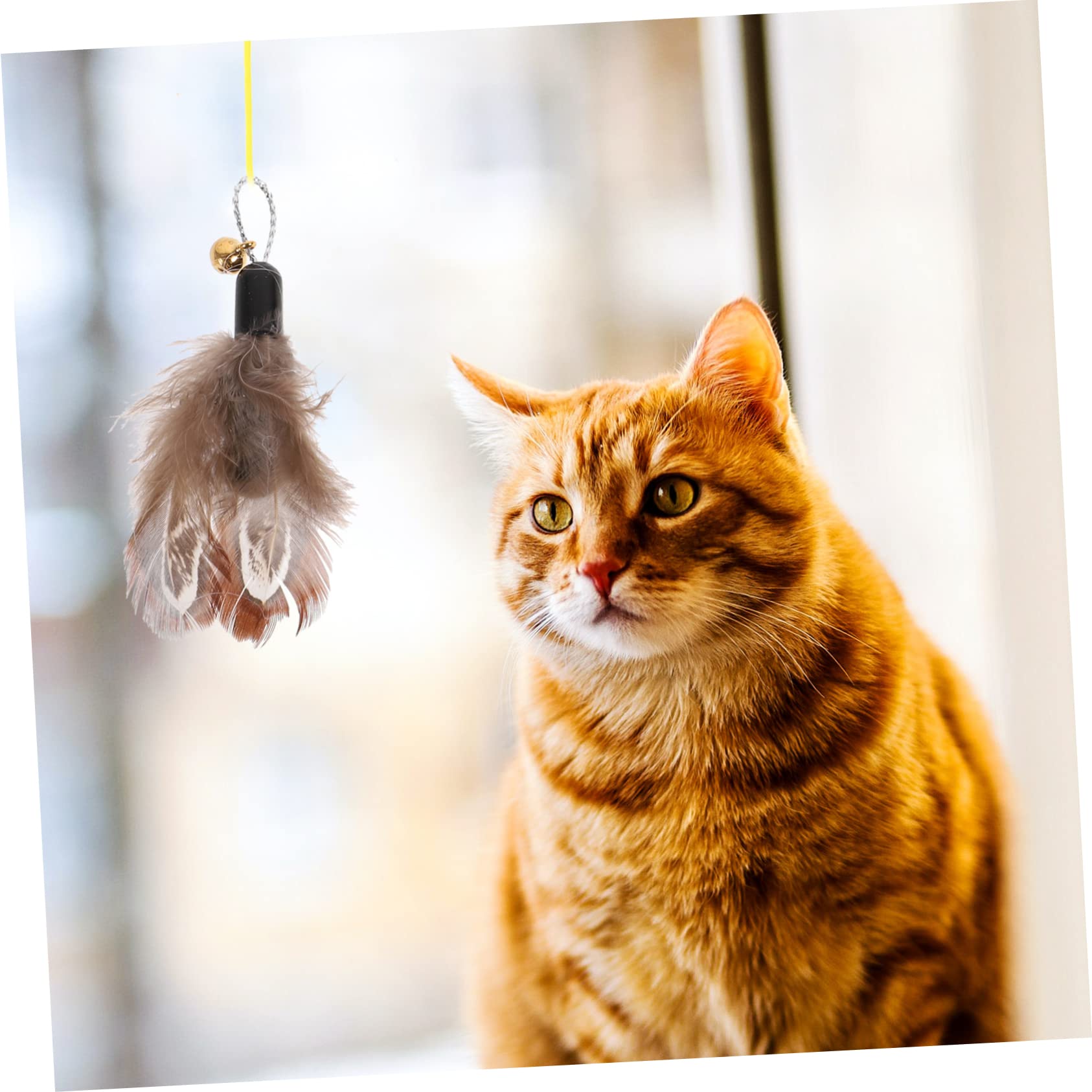 Yardwe 24stücke Katzenangel Nachfüllköpfe Interaktive Katzenspielzeuge Mit Bunten Federn Und Insekten-Design Ergänzung Für Und Aktivität Ihrer Katze
