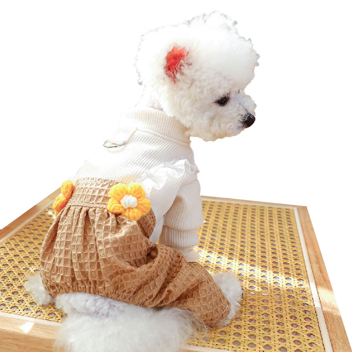 Macho Ropa Para Perros Pomerania Smoking Para Perro Ropa Para