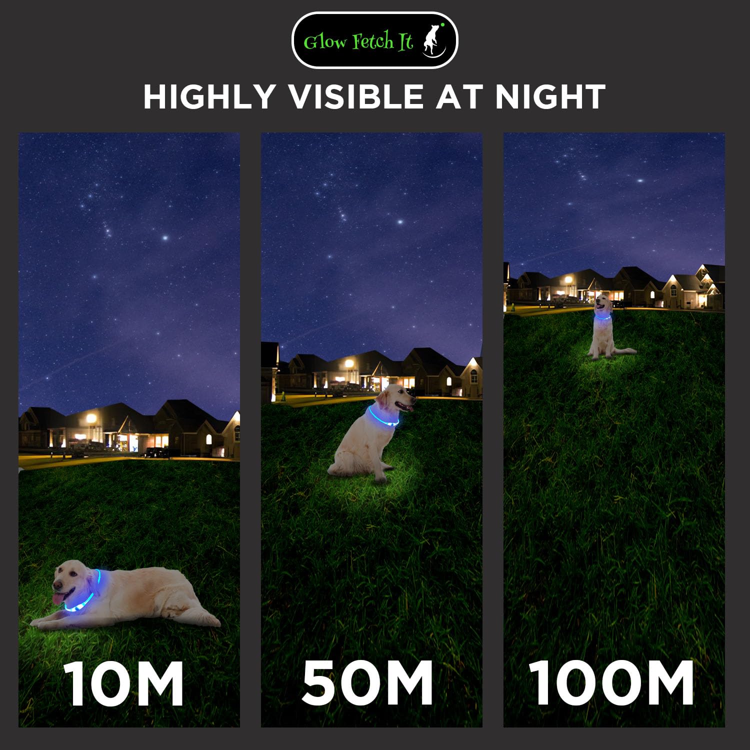 Collare per cani a LED regolabile con doppia illuminazione a 360 gradi, per passeggiate notturne, collana per cani ricaricabile con flash, si illumina al buio, collari impermeabili per