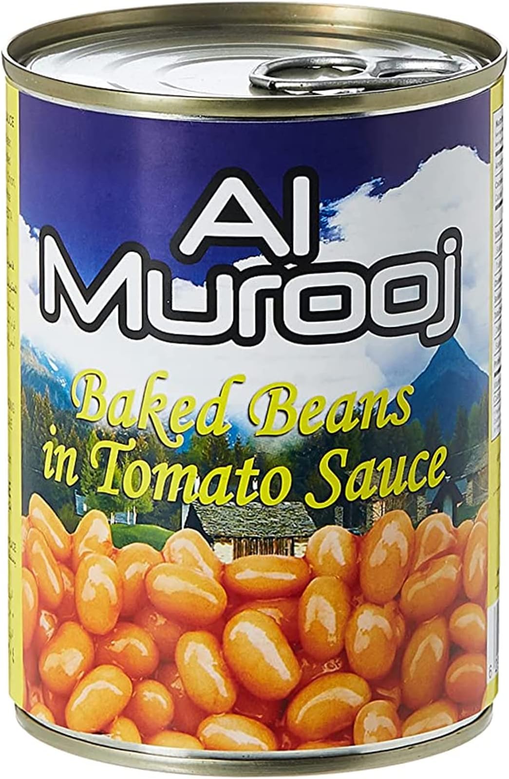 Beans In Tomato Sauce Ec, 400 gm (Pack Of 1)